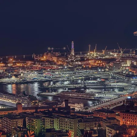 Kainua Superba * Genoa